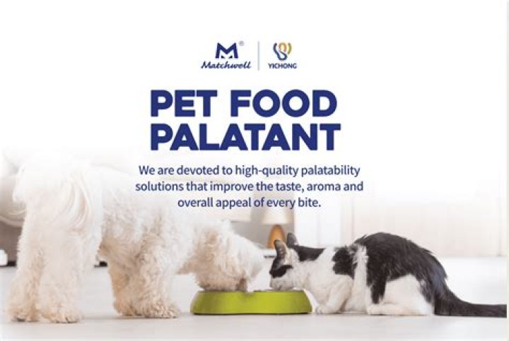 How do you save on pet food