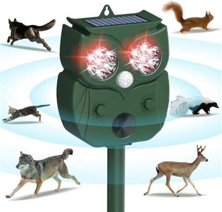 How do you scare animals away