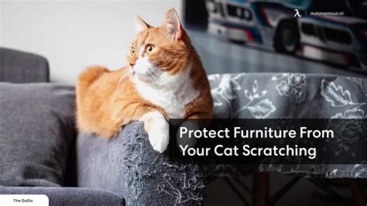 How do you stop furniture from scratching walls