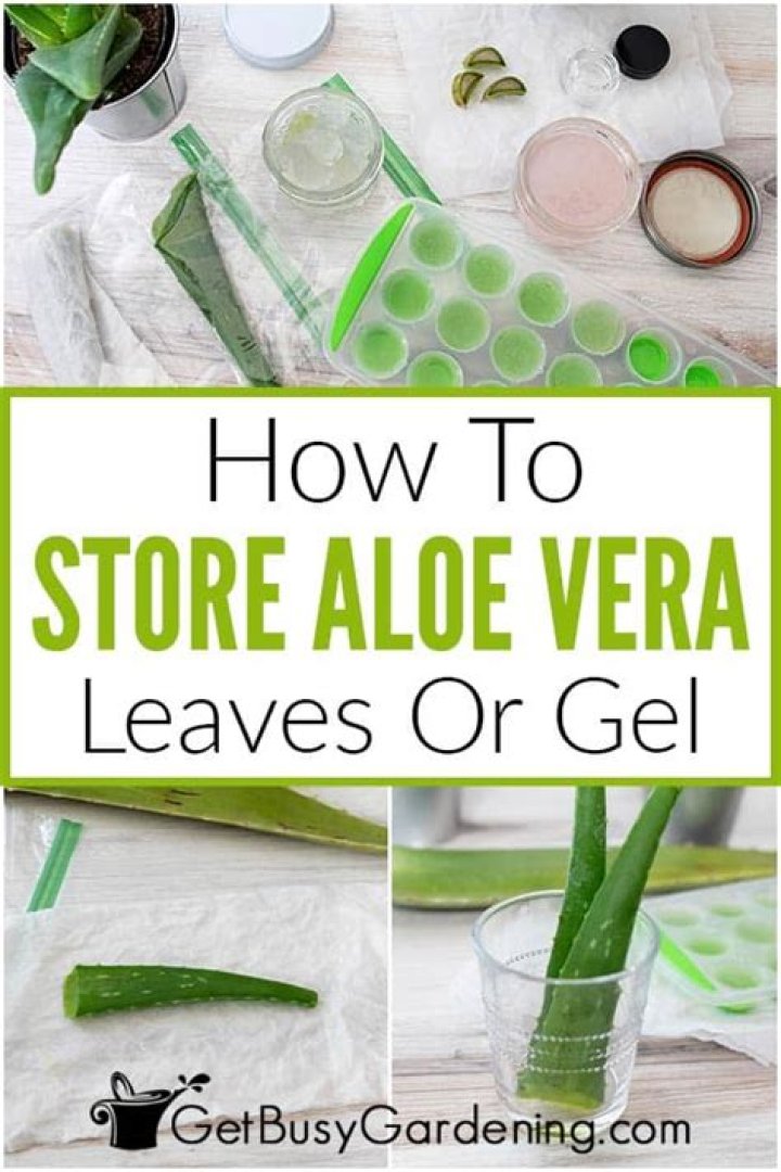 How do you store aloe vera gel for a long time