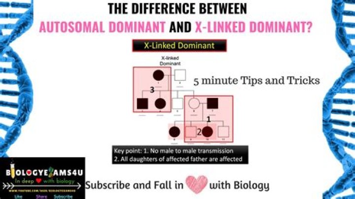 How do you tell the difference between autosomal dominant and X linked dominant