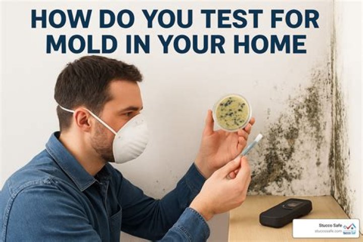 How do you test for LBD