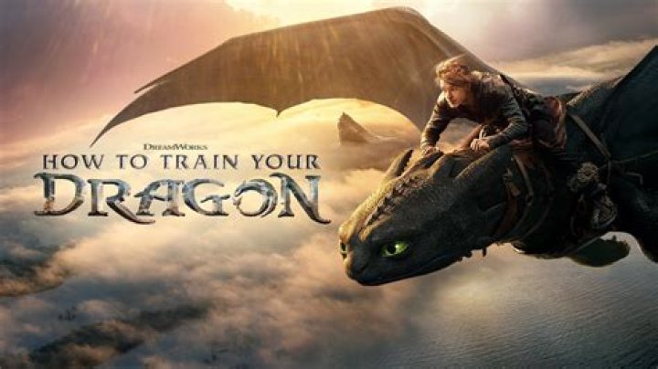How do you train your dragon one and two summary