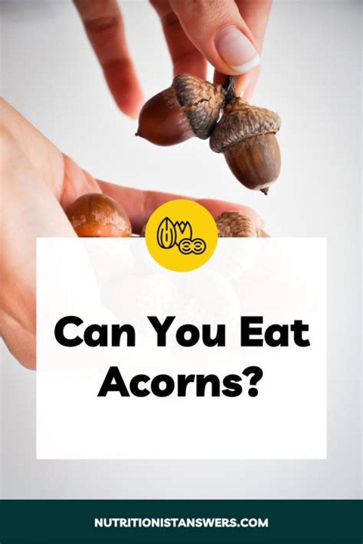 How do you treat acorns to eat