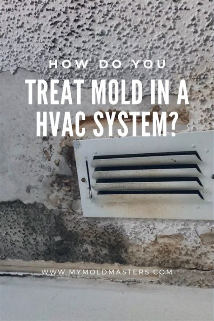 How do you treat mold in your body