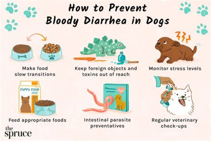 How do you treat sheep with diarrhea