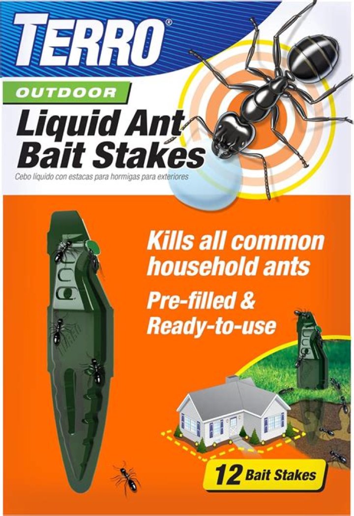 How do you use ant bait raid