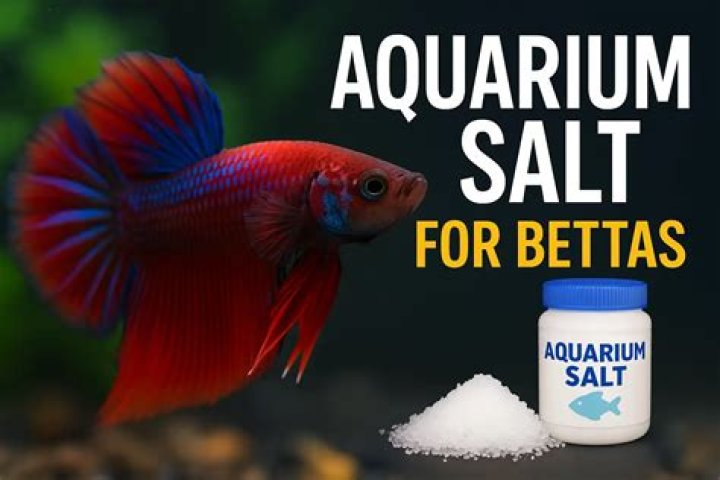 How do you use aquarium salt for betta fish