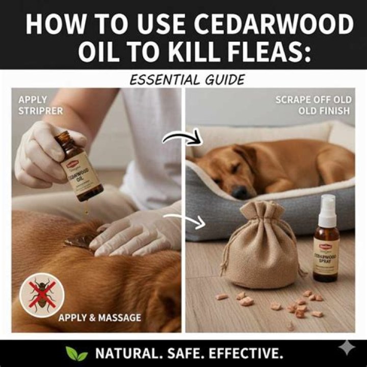 How do you use cedarwood oil for fleas