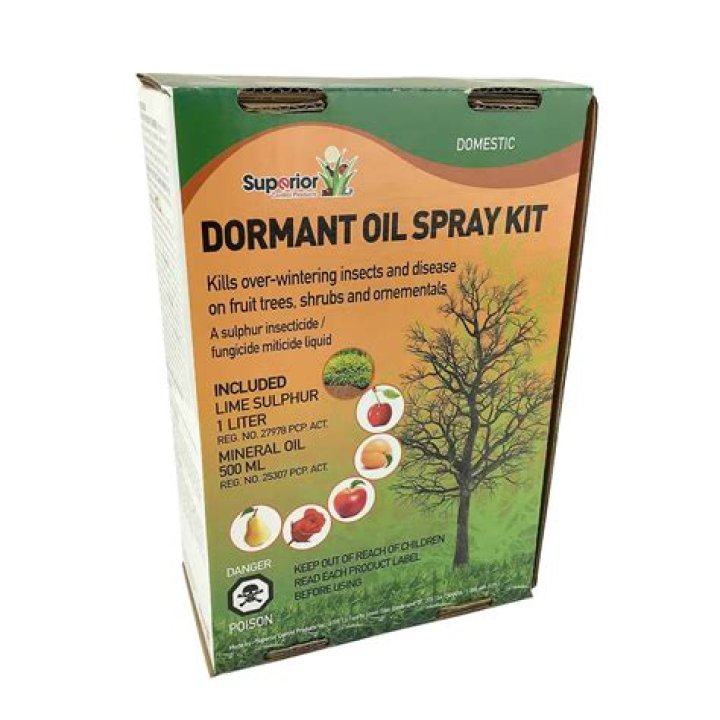 How do you use dormant oil spray