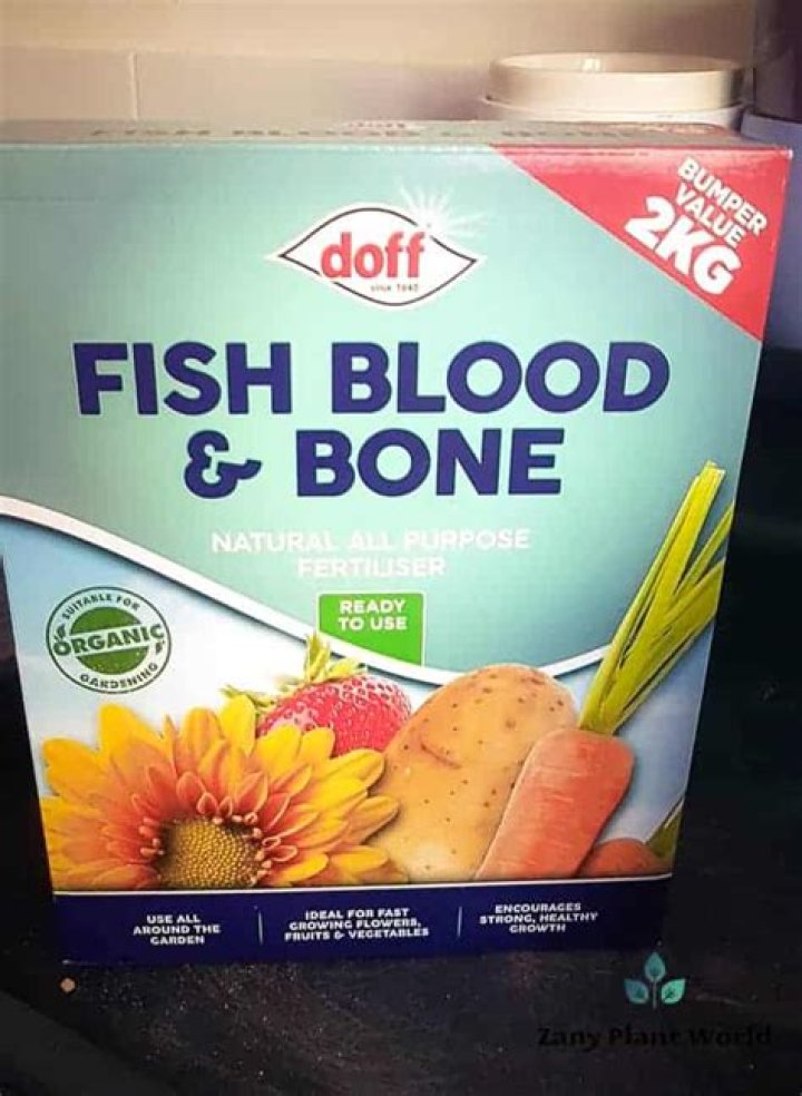 How do you use fish blood and bone meal