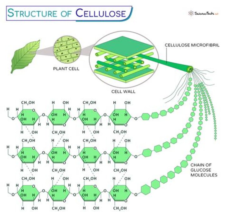 How do you use methyl cellulose