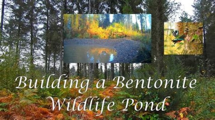 How do you use sodium bentonite in a pond