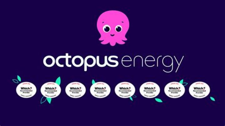 How do you use the Octopus app