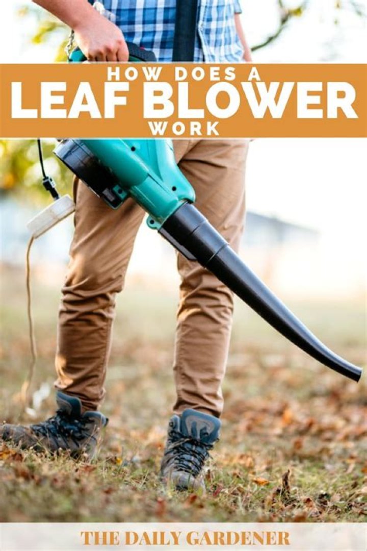 How does a leaf blower work