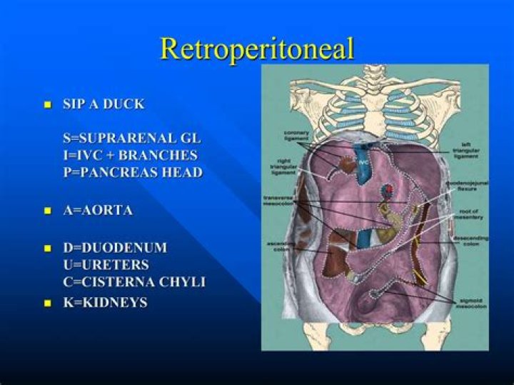 How does a retroperitoneal bleed occur