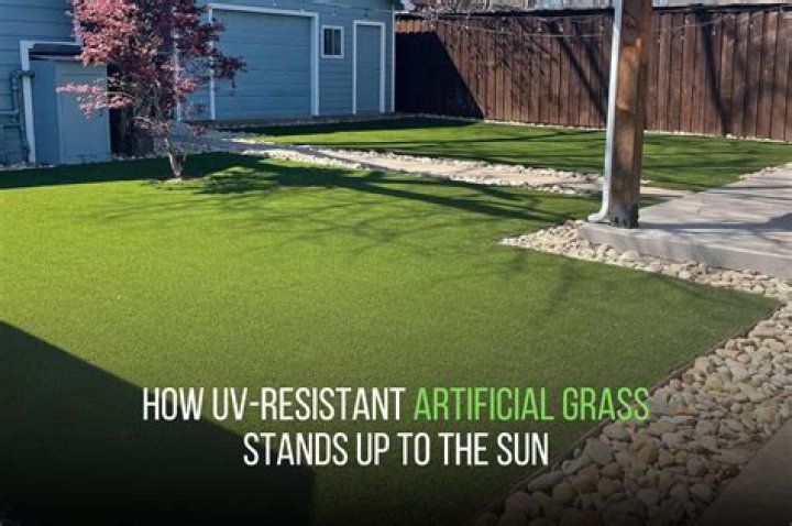 How does artificial grass hold up to dogs
