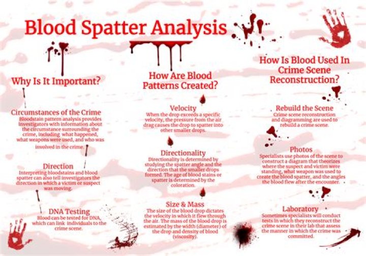 How does blood spatter analysis help solve crimes