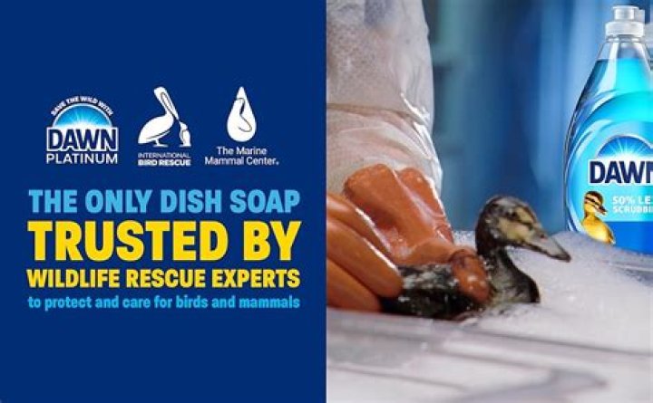 How does Dawn dish soap remove oil from driveway