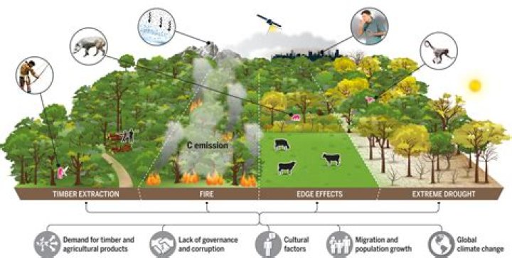 How does deforestation affect farming