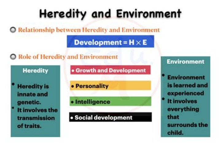 How does heredity and environment affect development