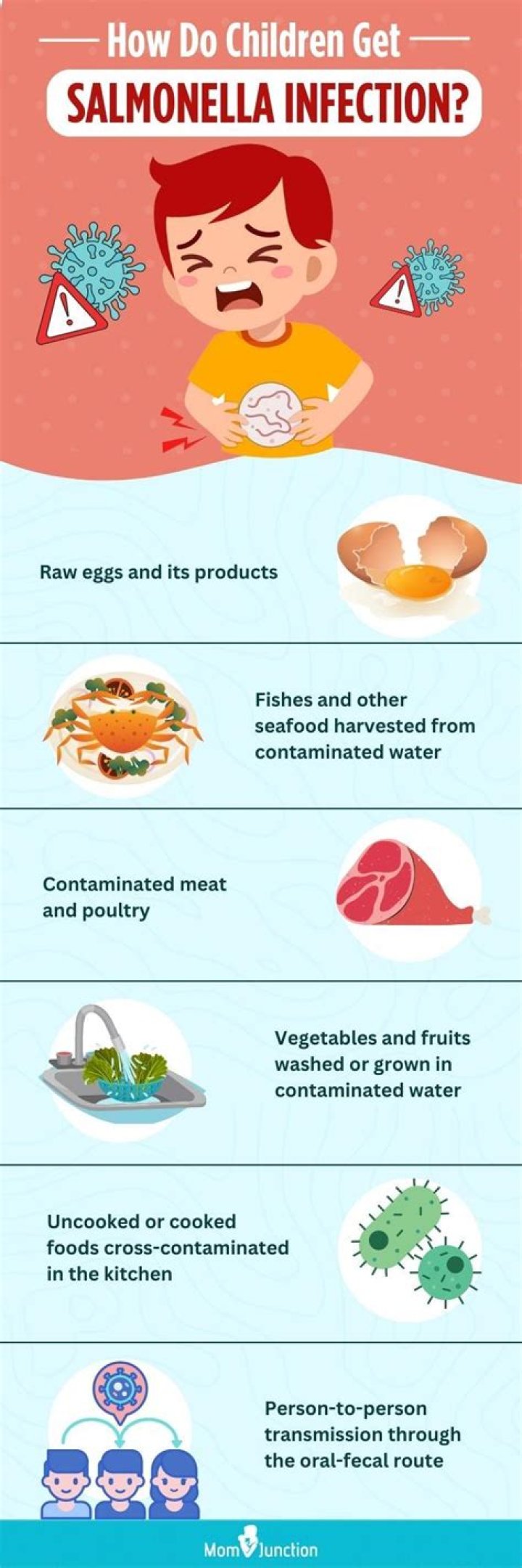 How does salmonella get on fruit
