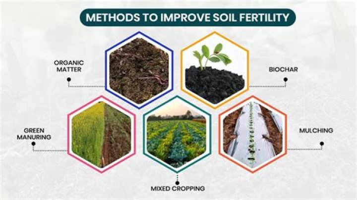 How does soil become infertile