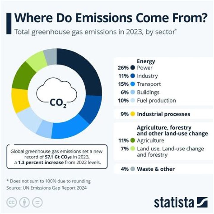 How does the emissions system work