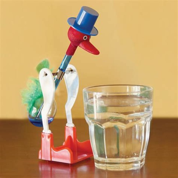 How does the famous drinking bird work