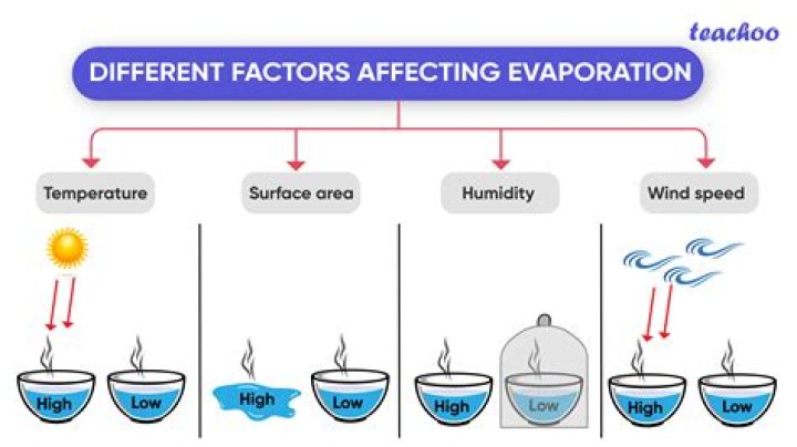 How does vapor pressure affect evaporation