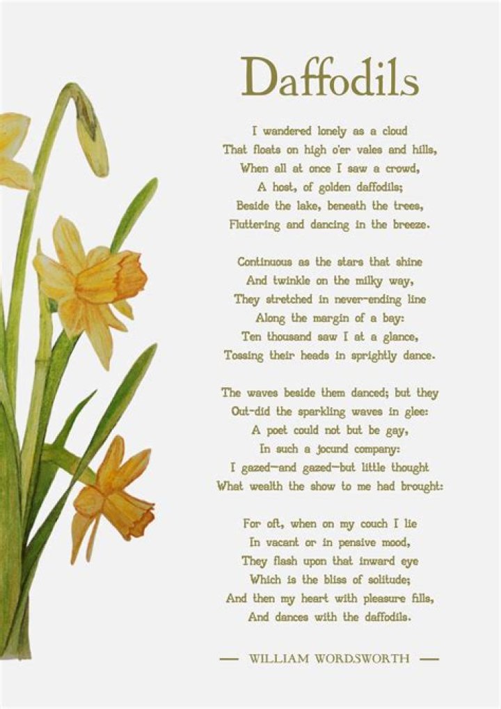 How does Wordsworth present nature in daffodils