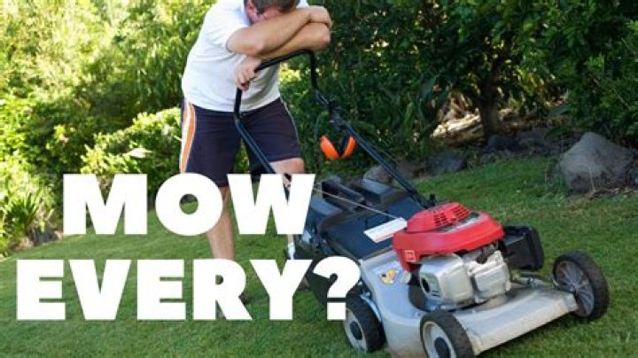 How early is it OK to mow the lawn