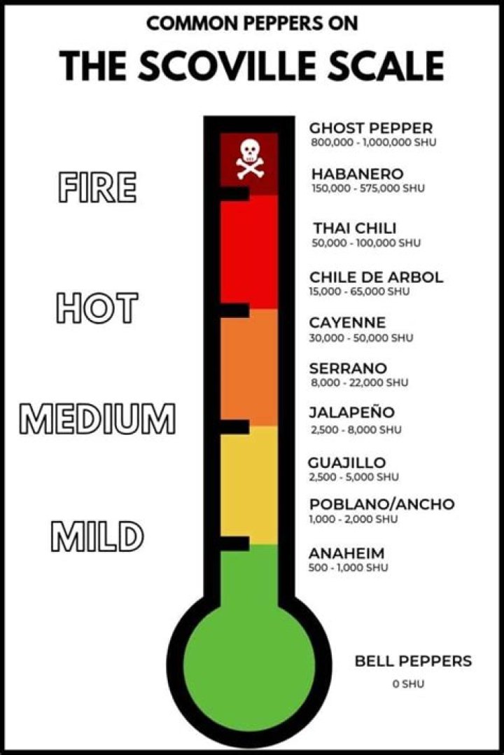 How hot is a habanero pepper on the Scoville scale