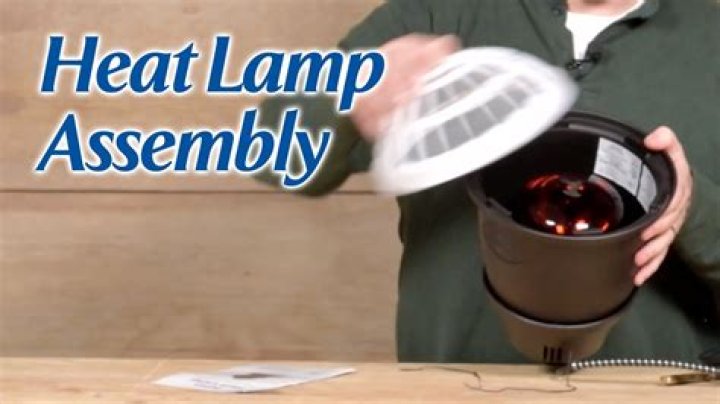 How hot will a heat lamp get
