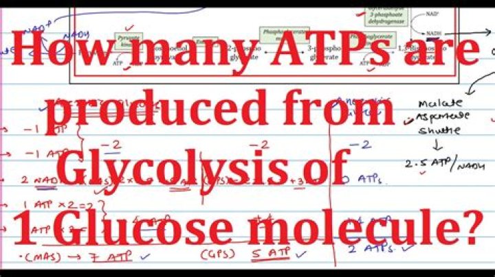 How is ATP produced by glycolysis quizlet