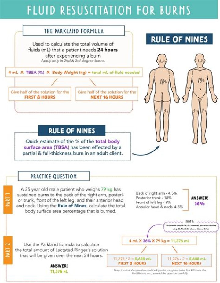How is the rule of nines used in determining the extent of a burn injury