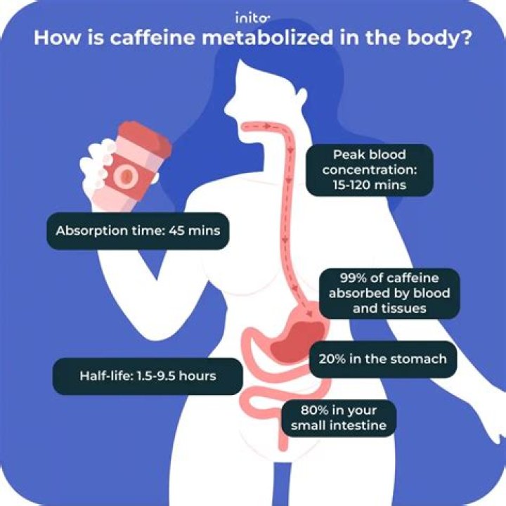 How is vitamin C metabolized in the body