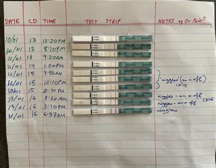 How long after a positive OPK Are You fertile