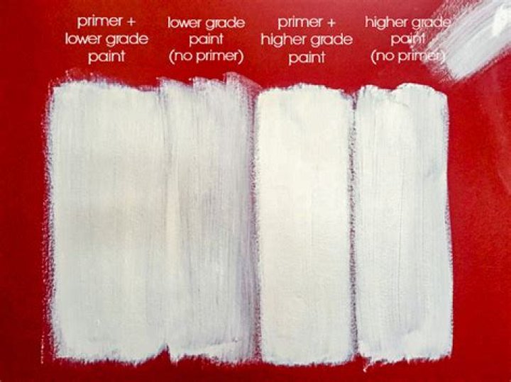 How long after Zinsser primer can I paint