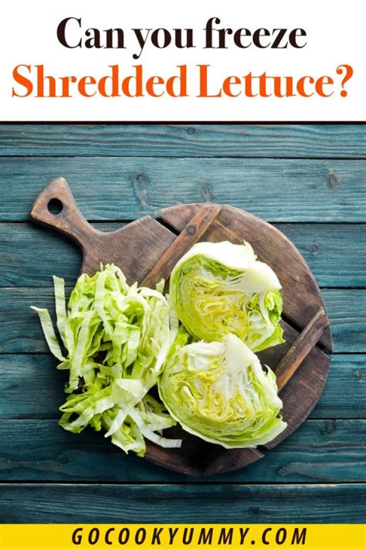 How long can you freeze lettuce