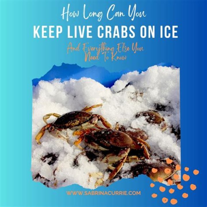 How long can you keep frozen clams
