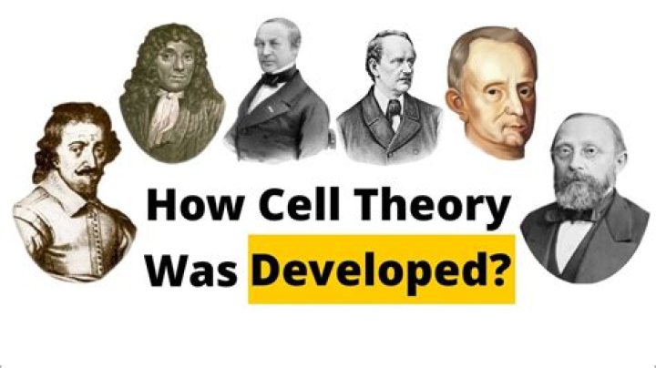 How long did the cell theory take to develop