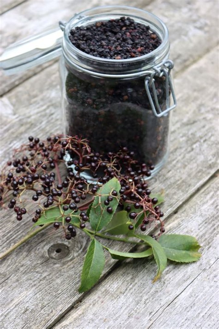 How long do dried elderberries keep