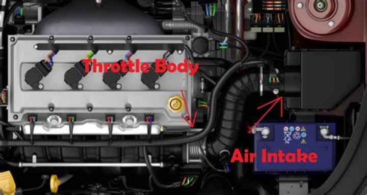 How long do throttle cables last