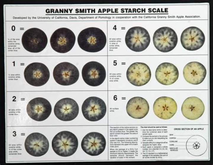 How long does it take for a Granny Smith apple to brown