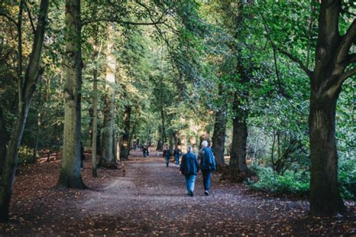 How long does it take to walk around Hampstead Heath