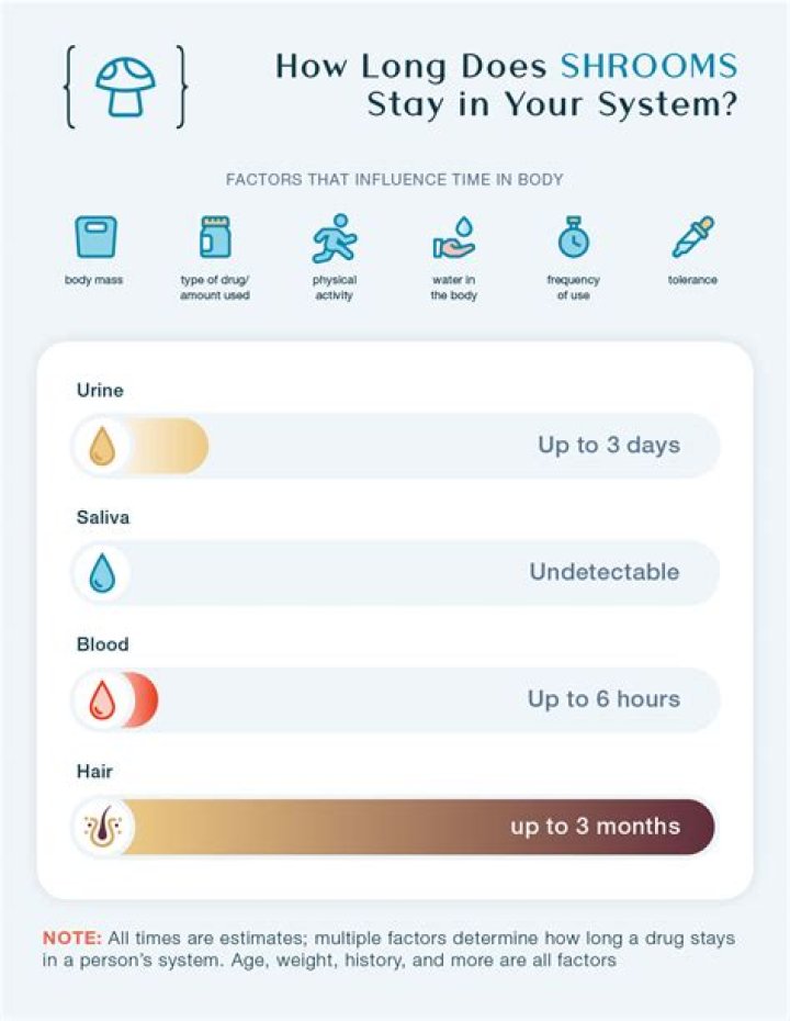 How long does risedronate stay in your body