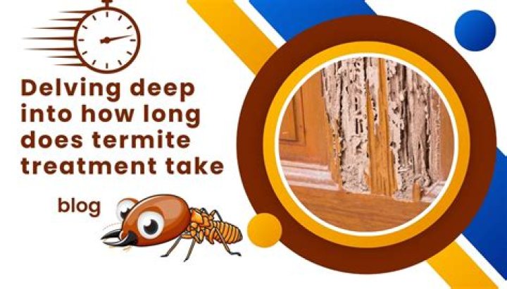 How long does termite treatment take