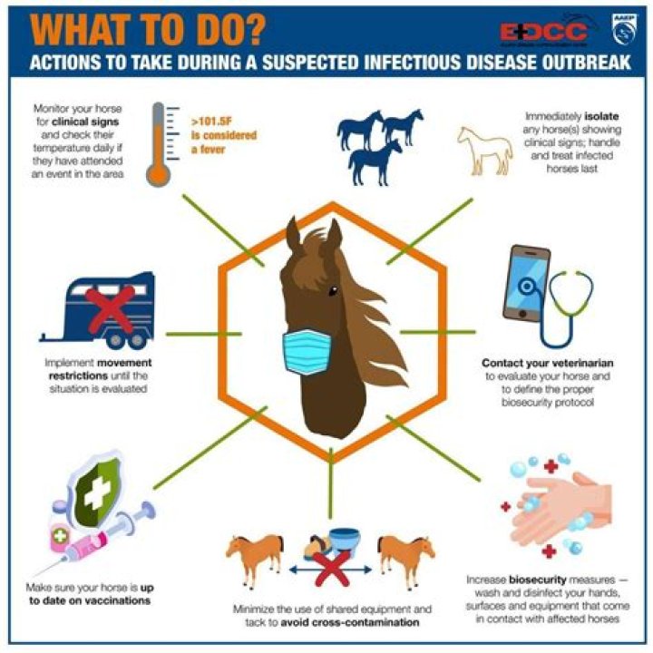 How long does the strangles virus live