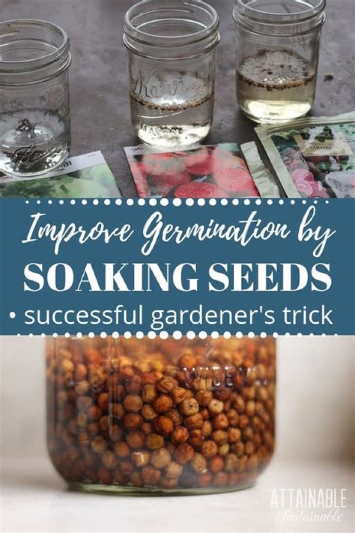 How long should I soak seeds before planting